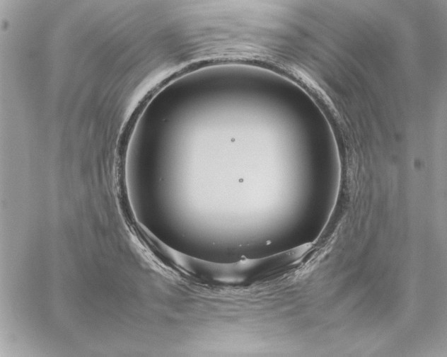 X0000059231085200510281859