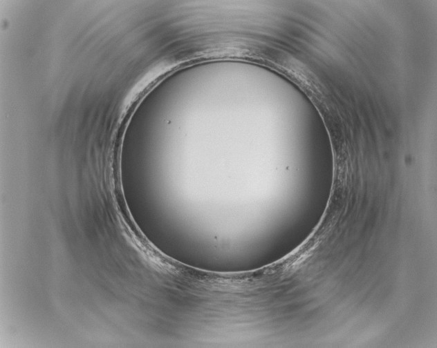 X0000059231086200510281859