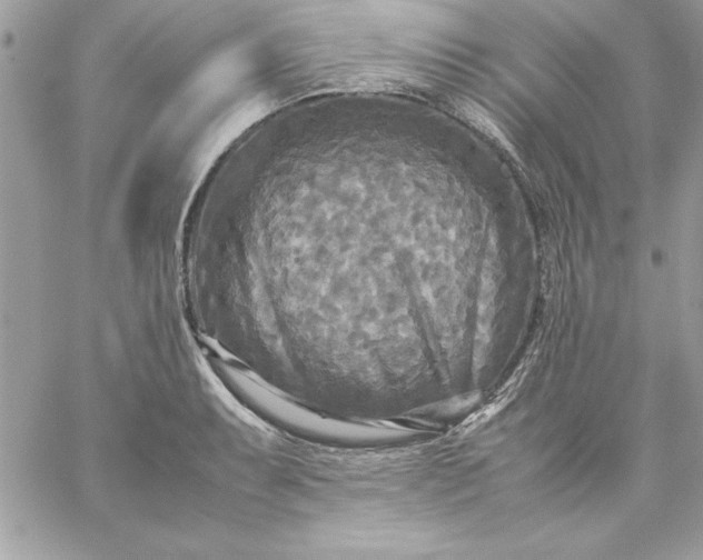 X0000059231087200510281859