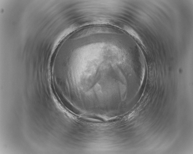 X0000059231088200510281859