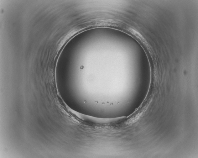 X0000059231089200510281859