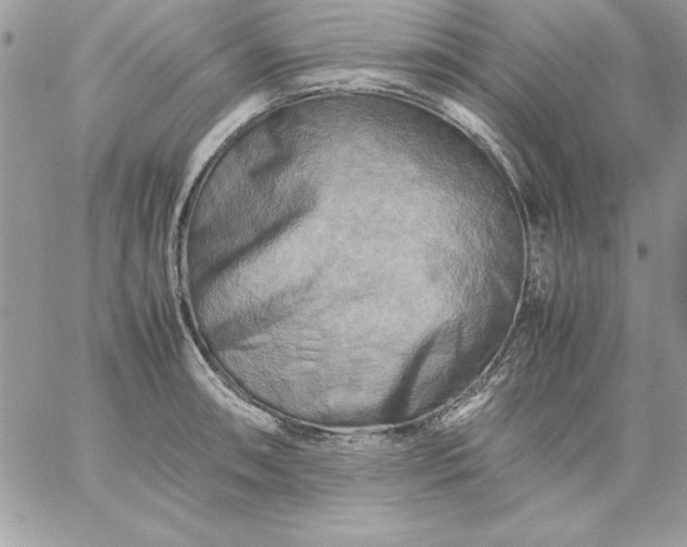 X0000059231090200510281859