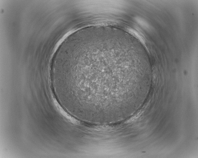 X0000059231091200510281859