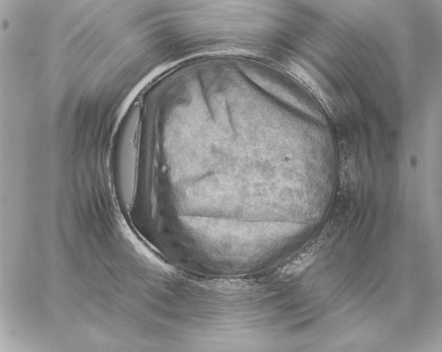 X0000059231092200510281859