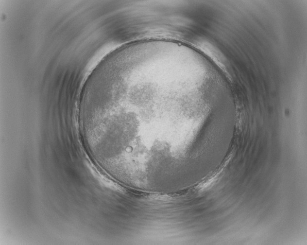 X0000059231094200510281859