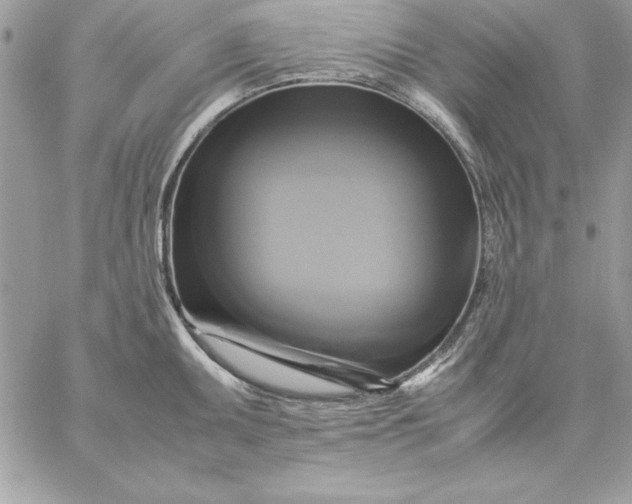 X0000059231095200510281859