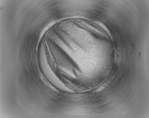 X0000059231096200510281859