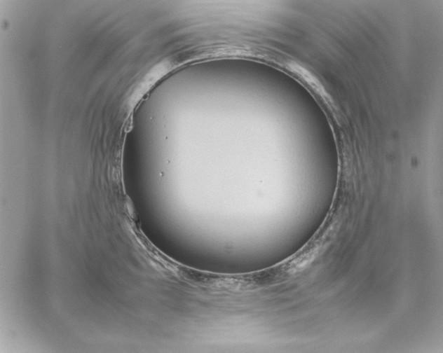 X0000059231097200510281859