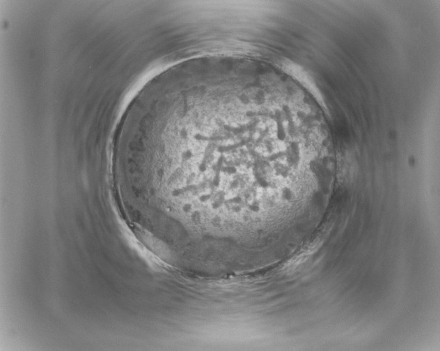 X0000059231099200510281859