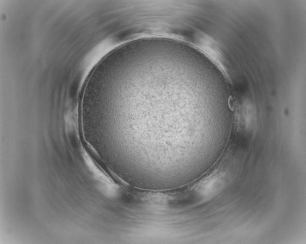 X0000059231100200510281859