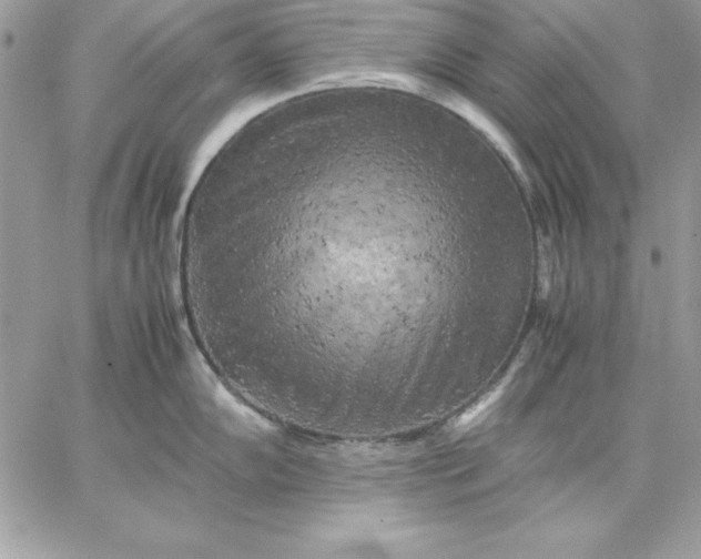 X0000059231102200510281859