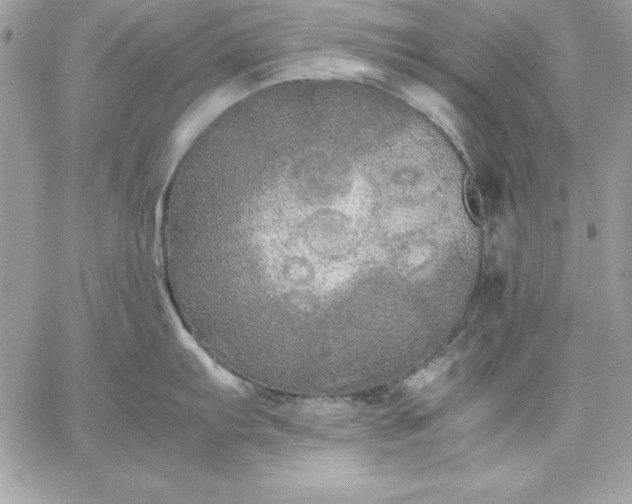 X0000059231103200510281859