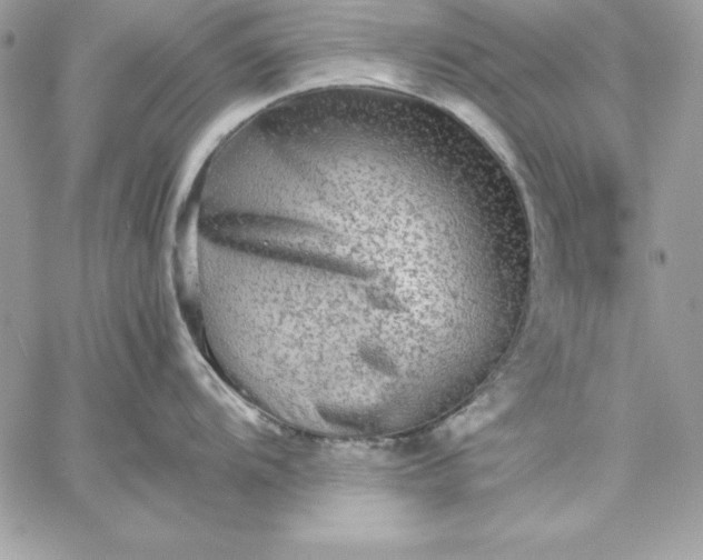 X0000059231104200510281859