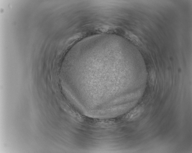 X0000059231105200510281858