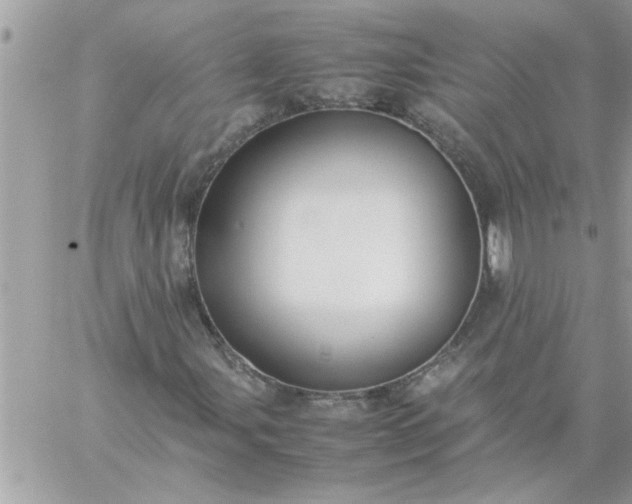 X0000059231107200510281858