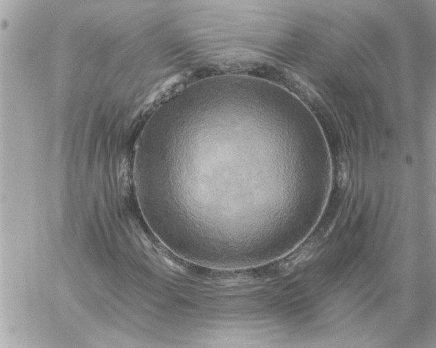 X0000059231108200510281858