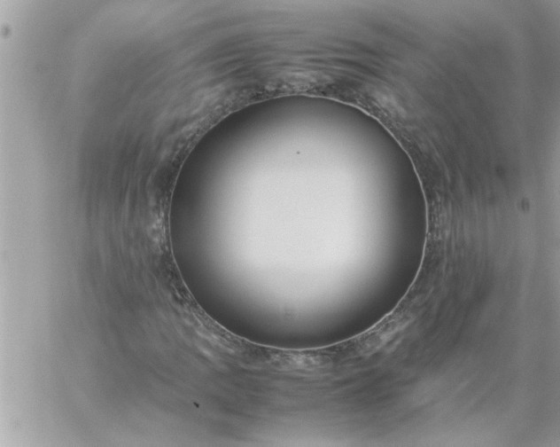 X0000059231109200510281858