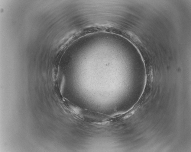 X0000059231110200510281858