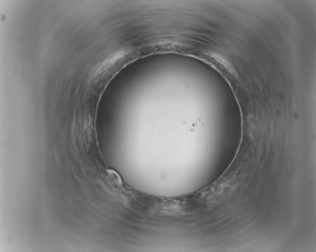 X0000059231111200510281858