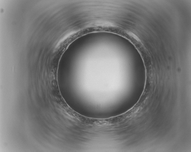 X0000059231112200510281858