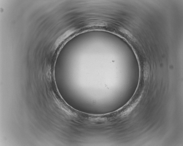 X0000059231113200510281858