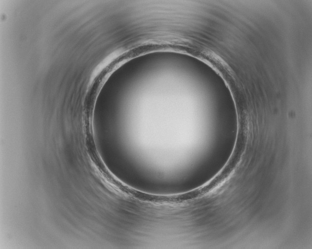 X0000059231114200510281858