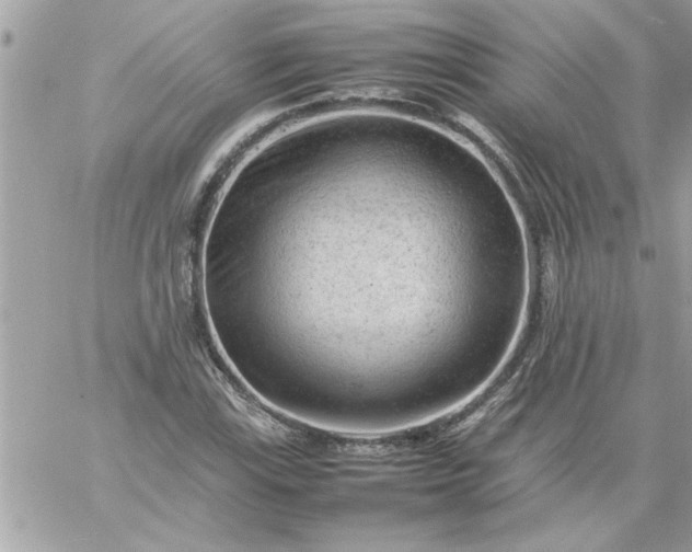 X0000059231115200510281858