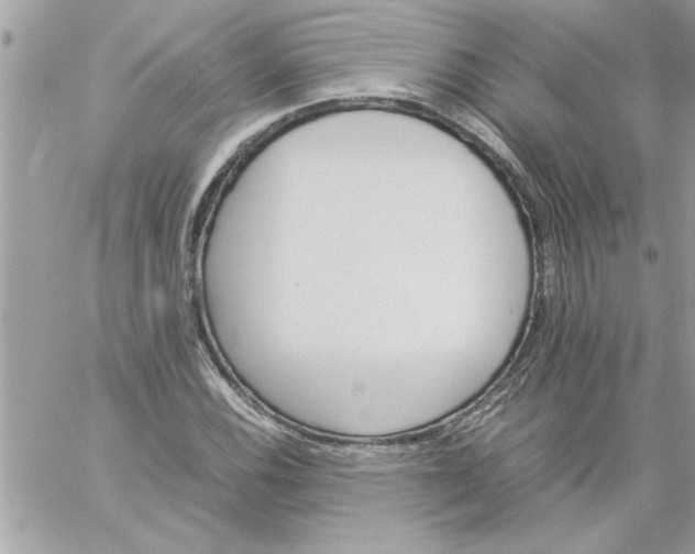 X0000059231116200510281858