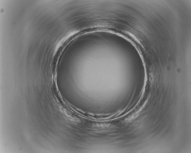 X0000059231117200510281858