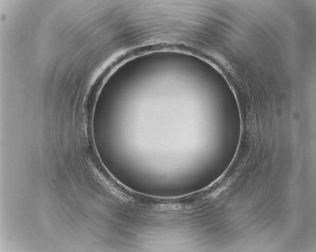 X0000059231118200510281858