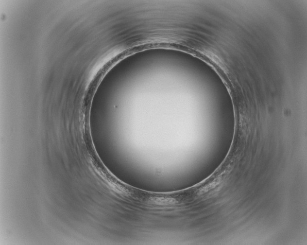 X0000059231119200510281858