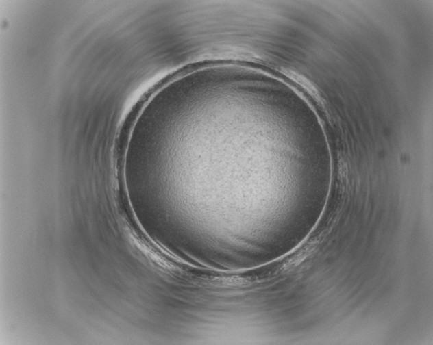 X0000059231120200510281858