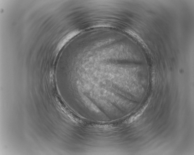 X0000059231121200510281858