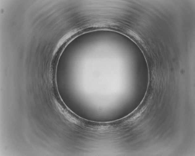 X0000059231122200510281858