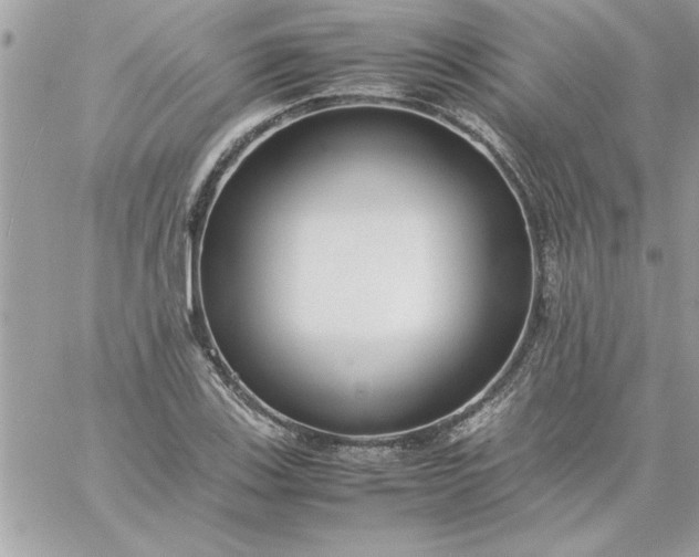 X0000059231123200510281858