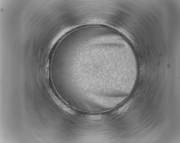 X0000059231126200510281858