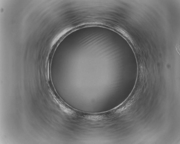 X0000059231127200510281858