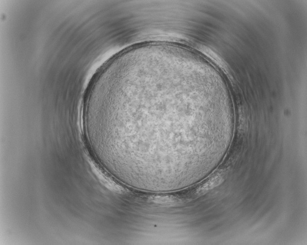 X0000059231128200510281858