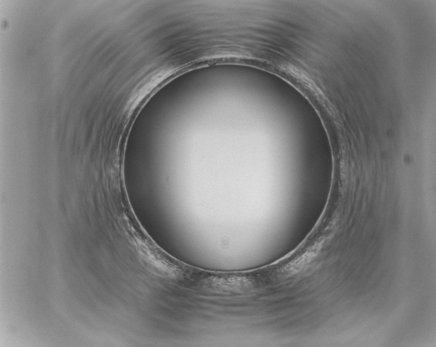 X0000059231129200510281858