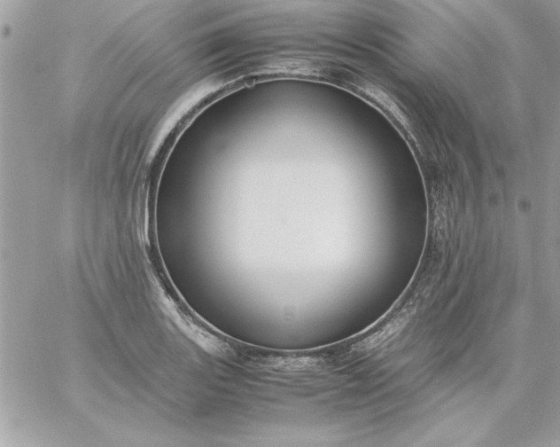 X0000059231131200510281858