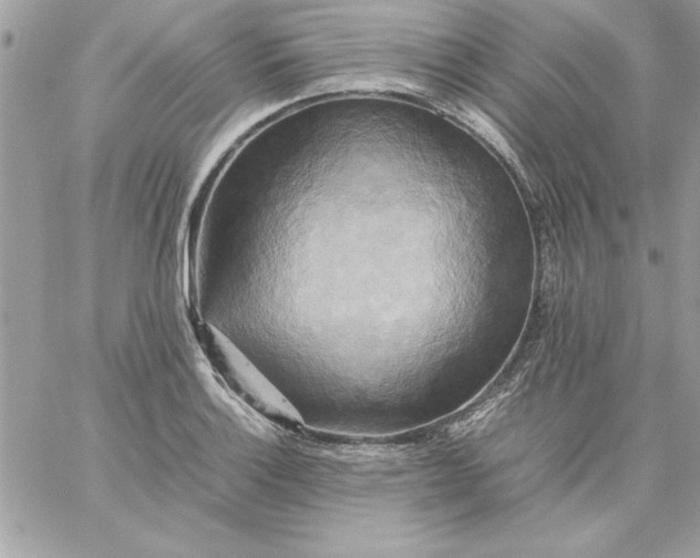 X0000059231132200510281858