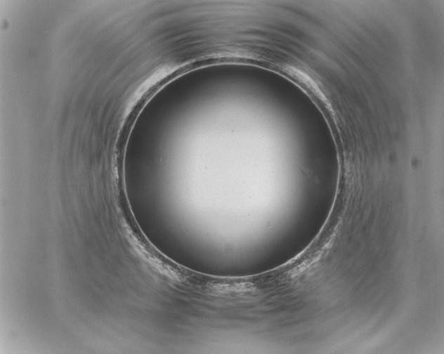 X0000059231133200510281858