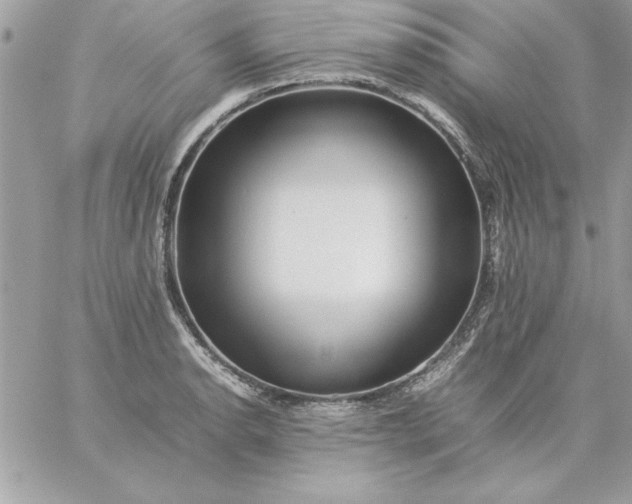 X0000059231134200510281858