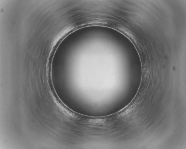 X0000059231135200510281858