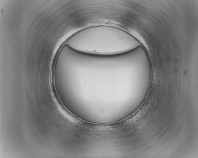 X0000059231136200510281859