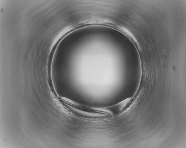 X0000059231138200510281859