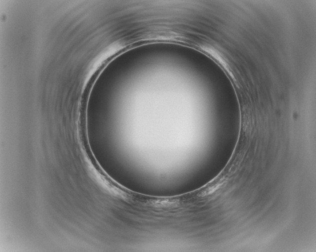 X0000059231139200510281859