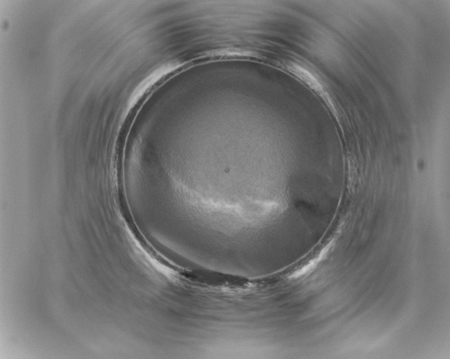 X0000059231141200510281859