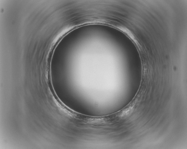 X0000059231143200510281859