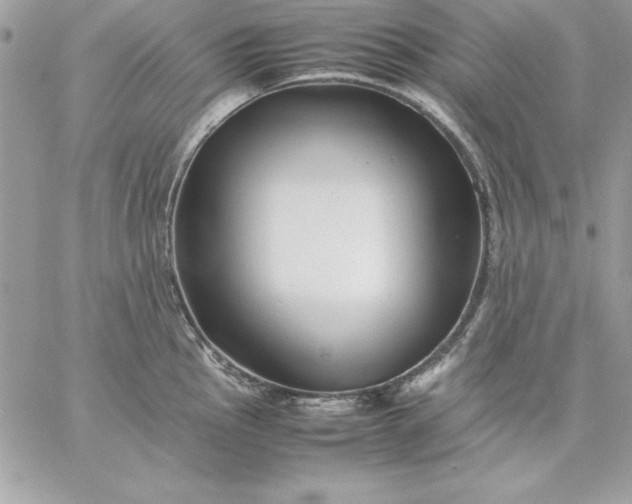 X0000059231145200510281859